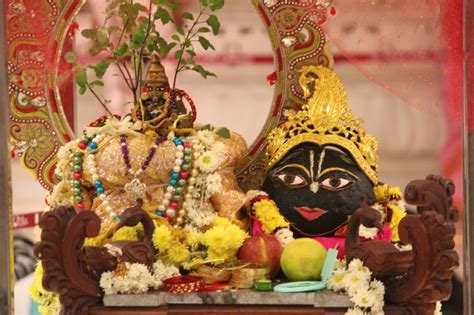 tulsi marge clips|TULSI VIVAH (MARRIAGE) WITH SALAGRAMA (KRISHNA).
